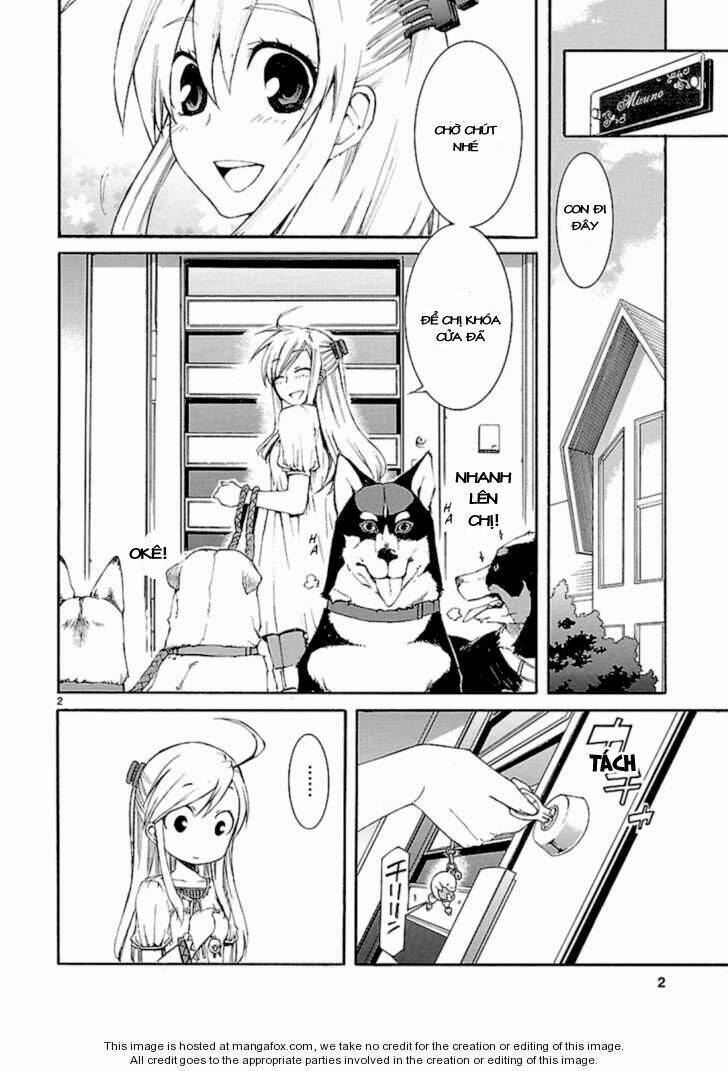 Nyankoi! Chapter 23 - Trang 2