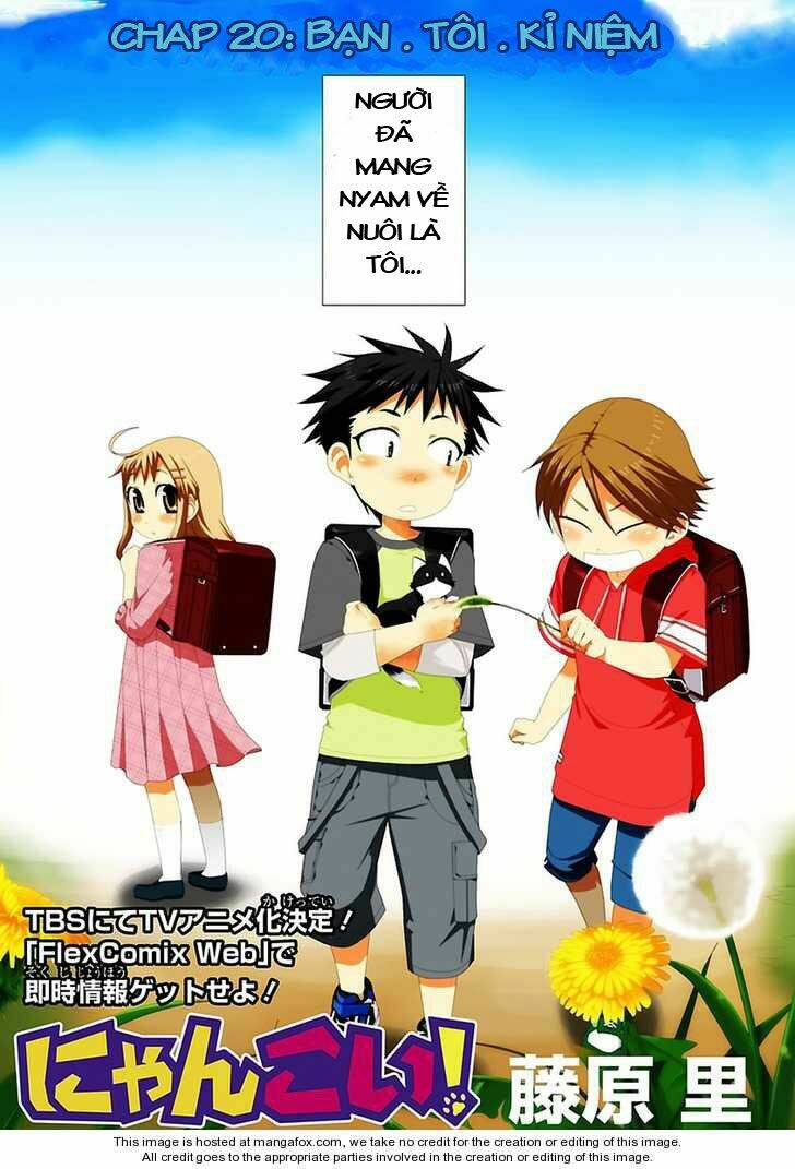 Nyankoi! Chapter 20 - Trang 2