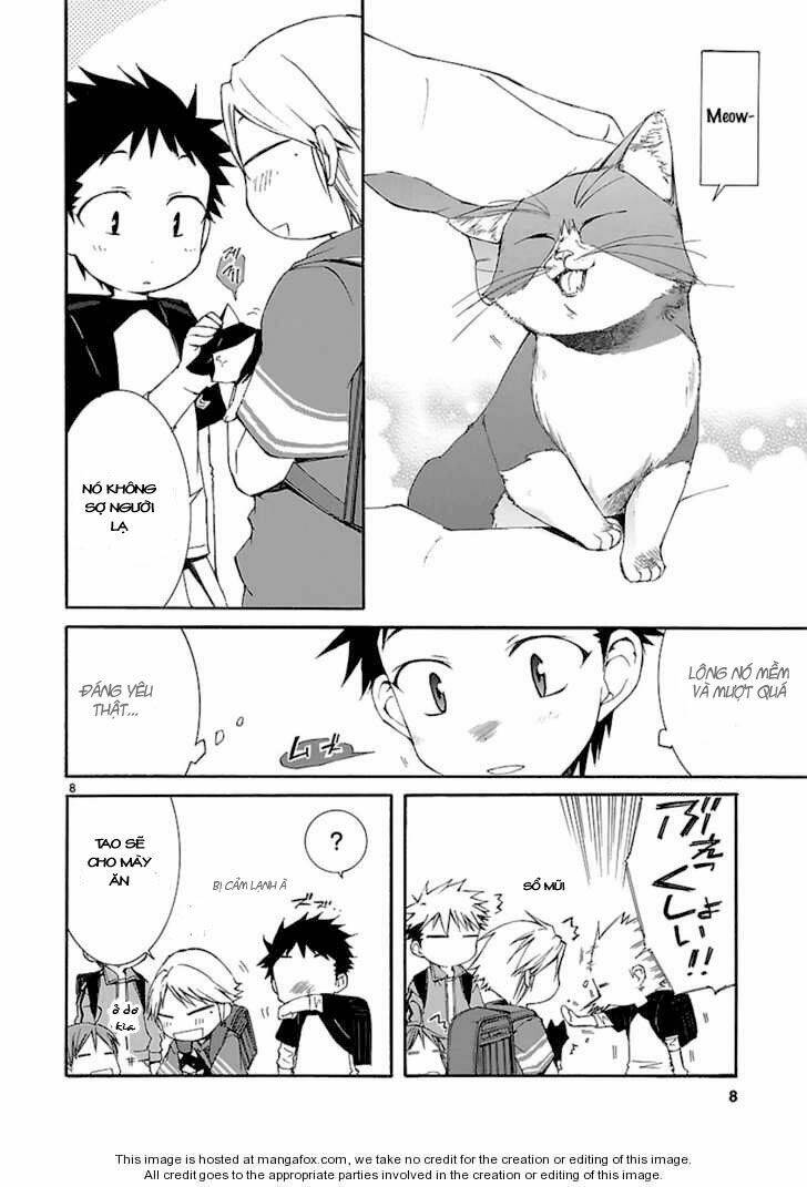 Nyankoi! Chapter 20 - Trang 2