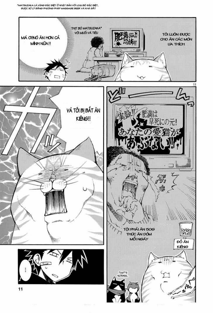 Nyankoi! Chapter 8 - Trang 2