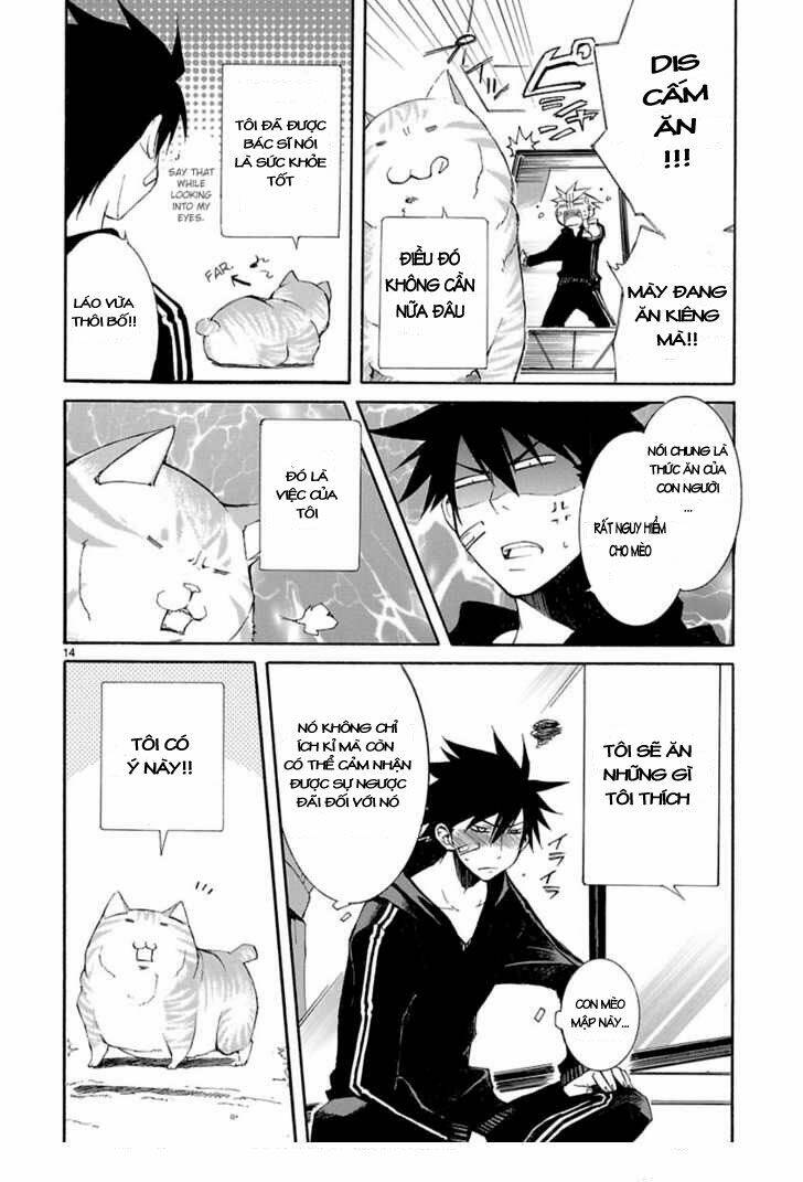 Nyankoi! Chapter 8 - Trang 2