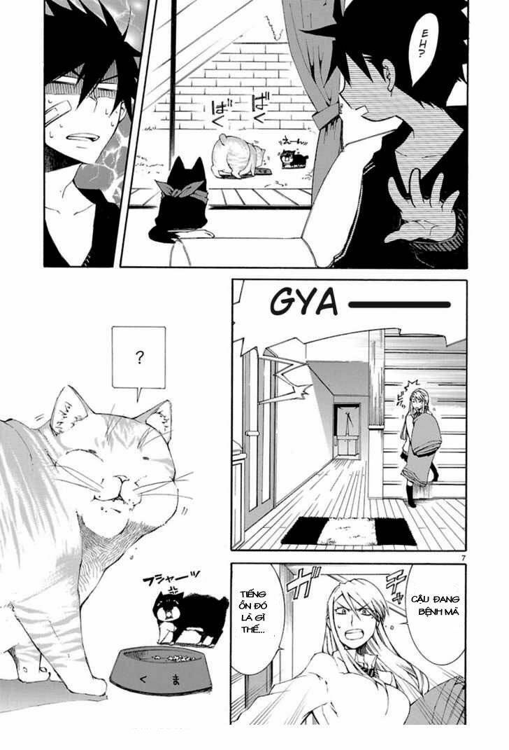 Nyankoi! Chapter 8 - Trang 2