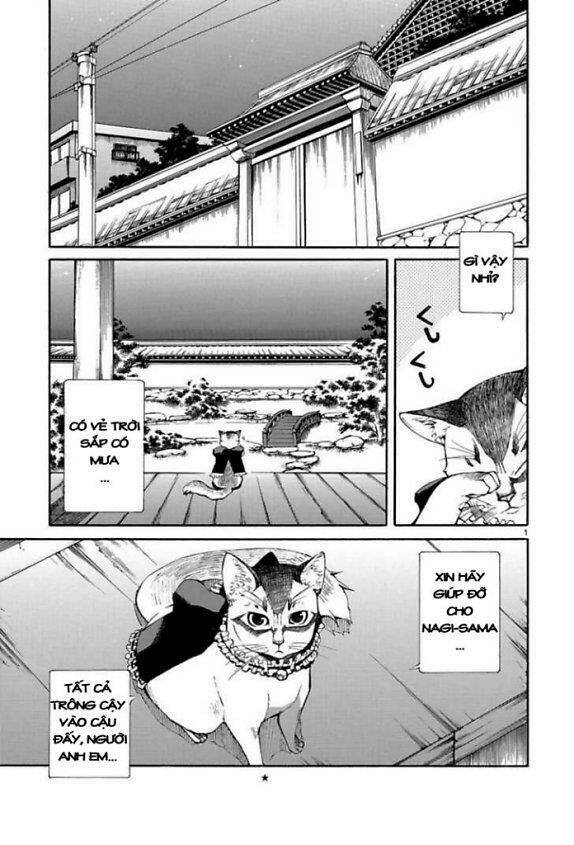 Nyankoi! Chapter 7 - Trang 2