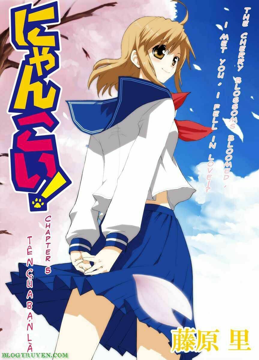 Nyankoi! Chapter 5 - Trang 2