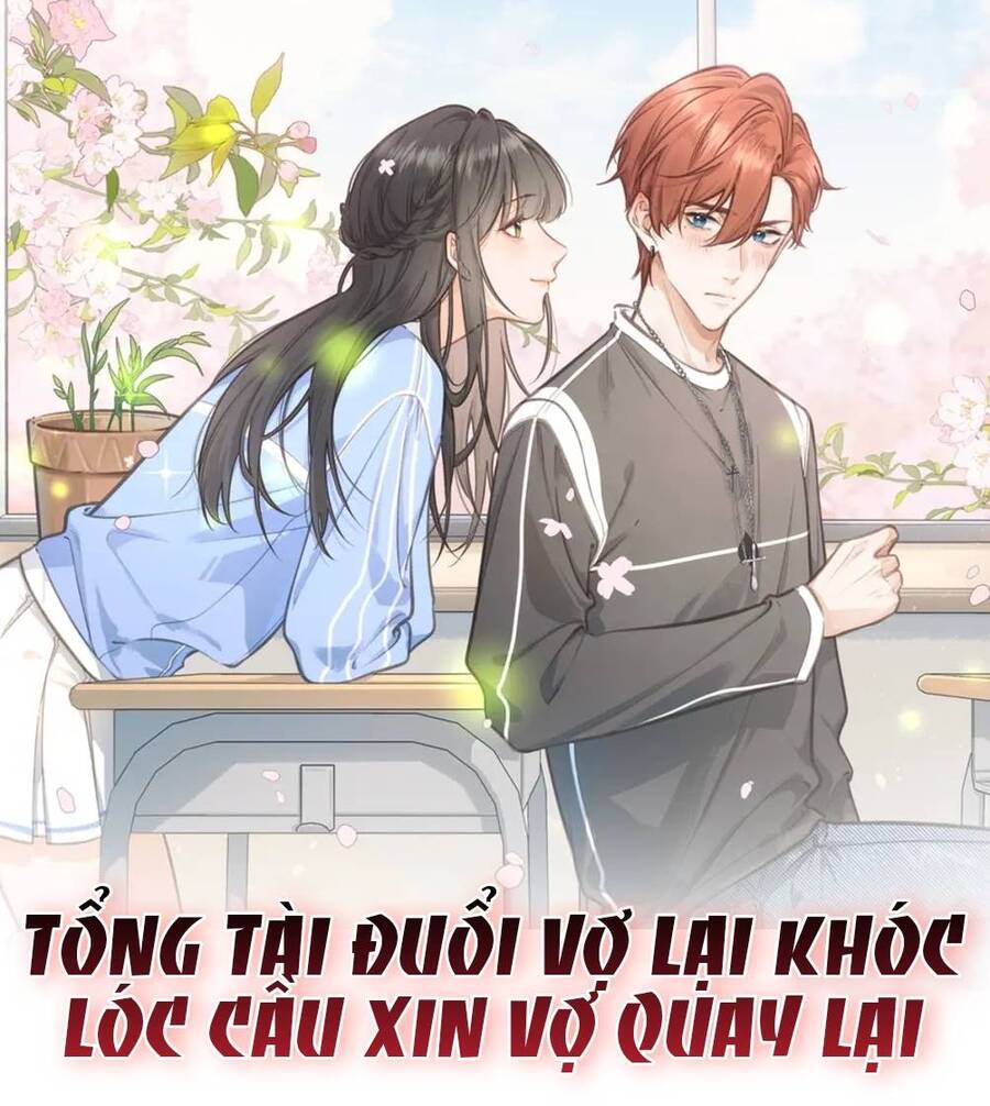 Tổng Tài Đuổi Vợ Lại Khóc Lóc Cầu Xin Vợ Quay Lại Chapter 3 - Trang 2