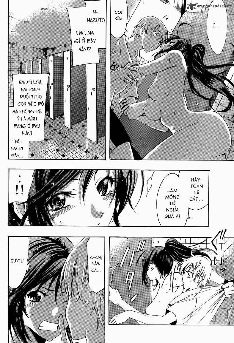 Thị Trấn Tình Yêu Chapter 227 - Trang 2