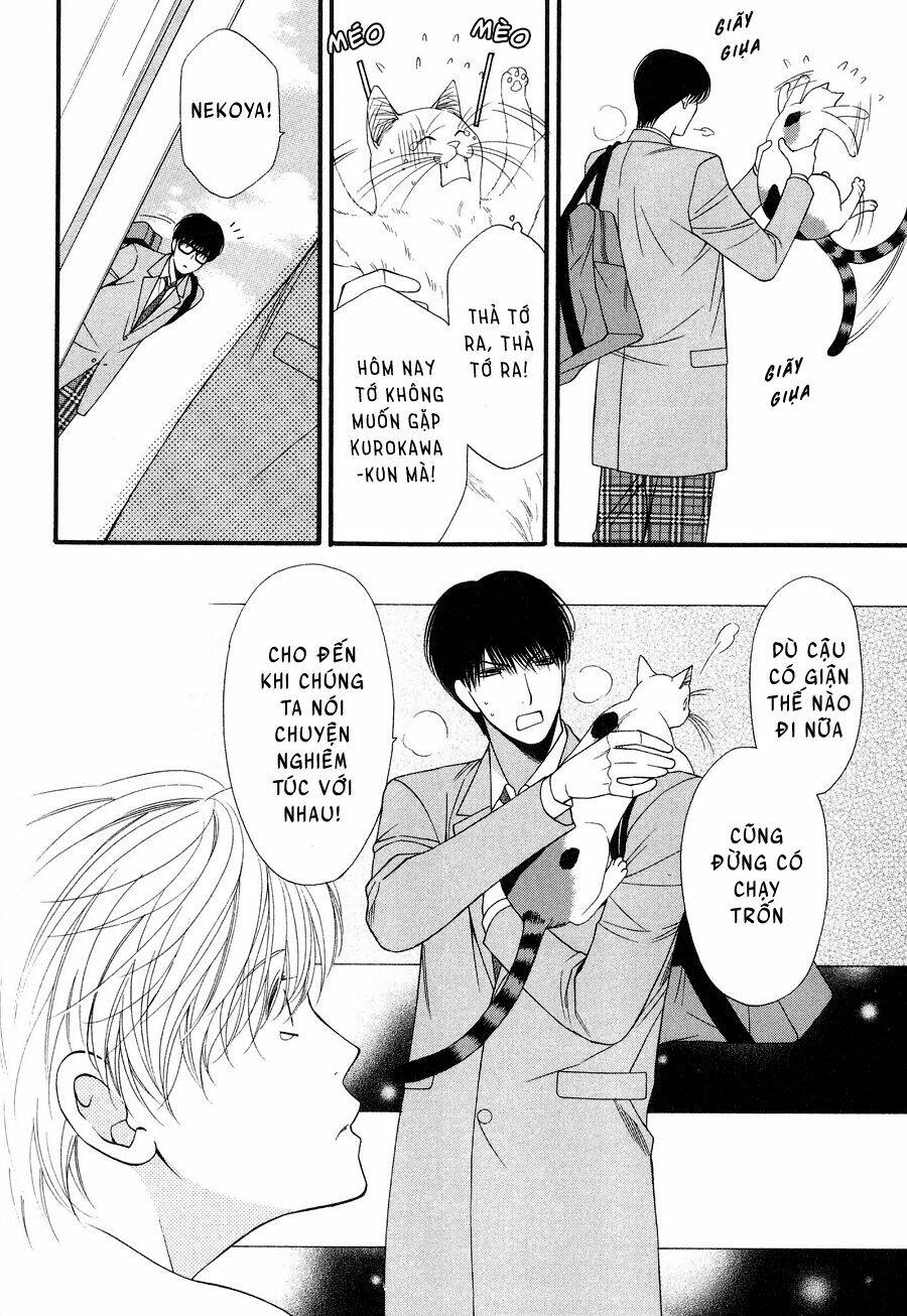 Neko Neko Honey Chapter 12 - Trang 2