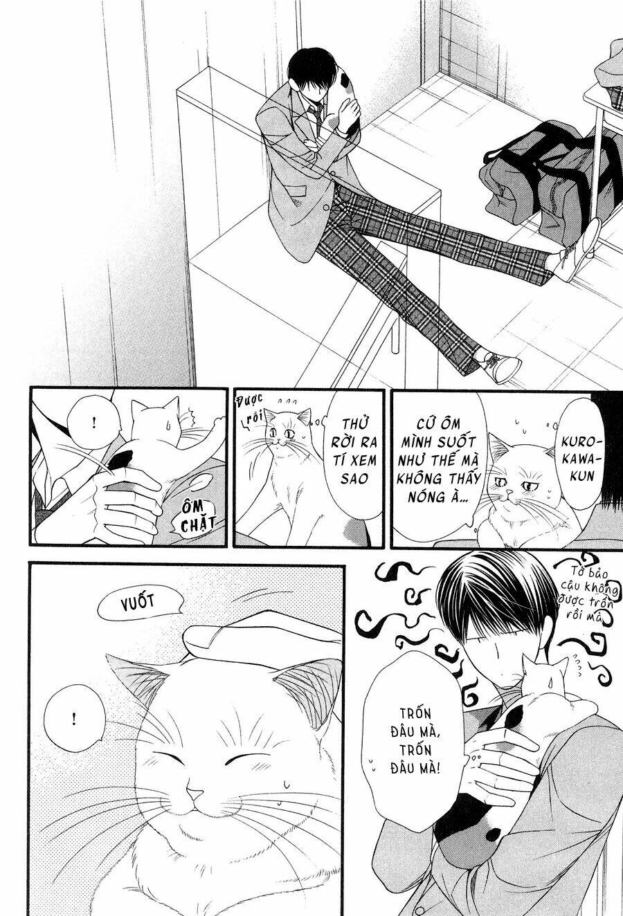 Neko Neko Honey Chapter 12 - Trang 2