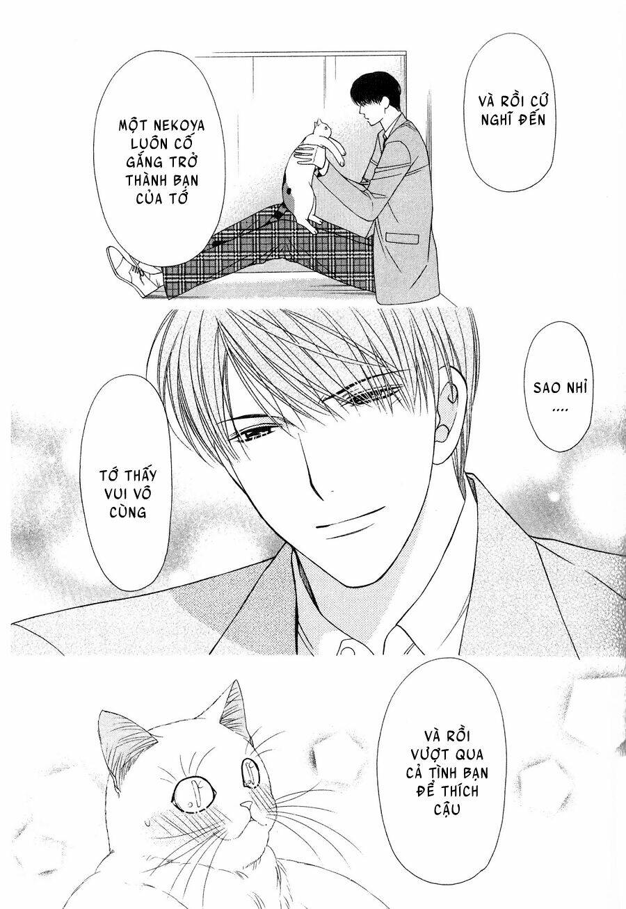 Neko Neko Honey Chapter 12 - Trang 2