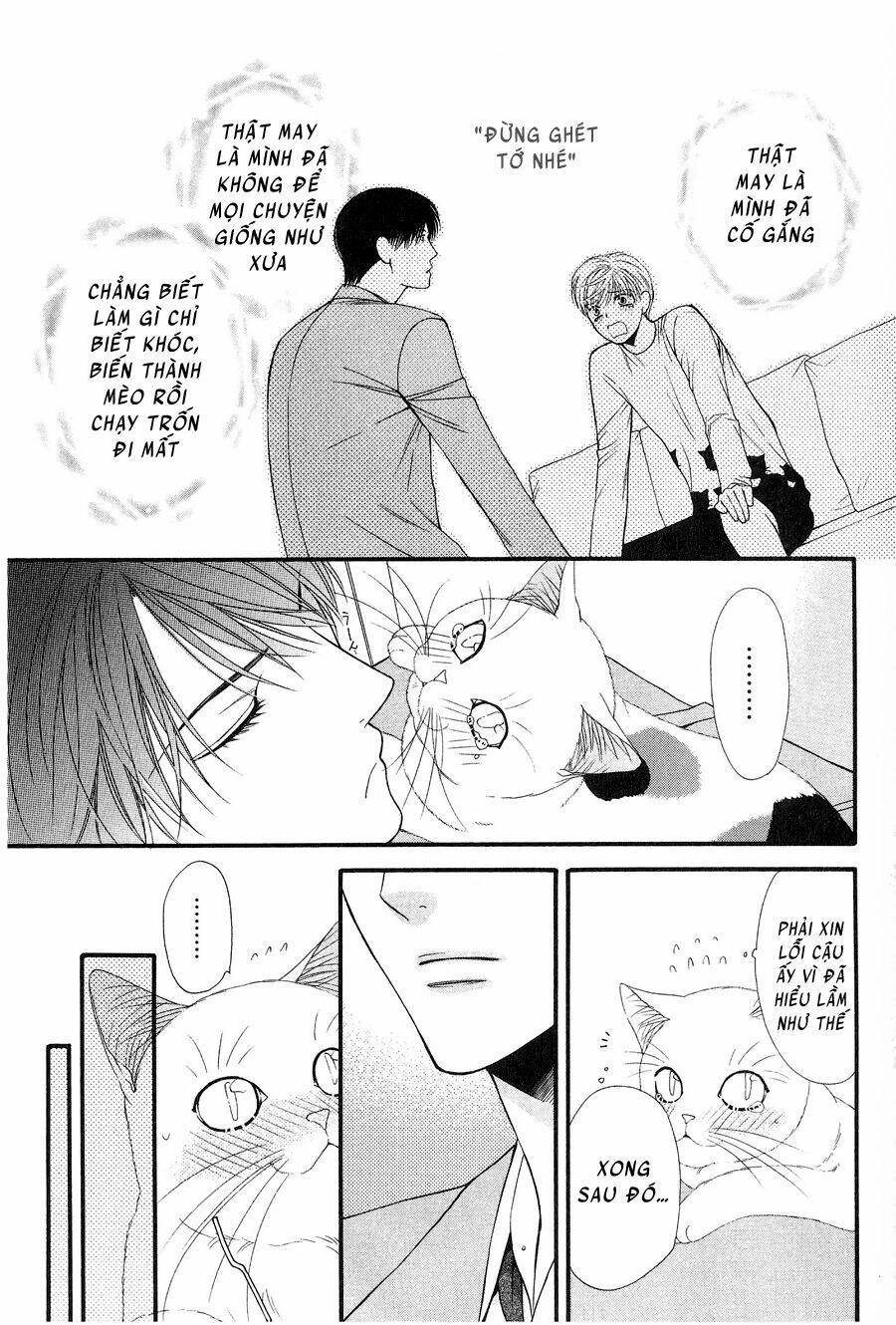 Neko Neko Honey Chapter 12 - Trang 2