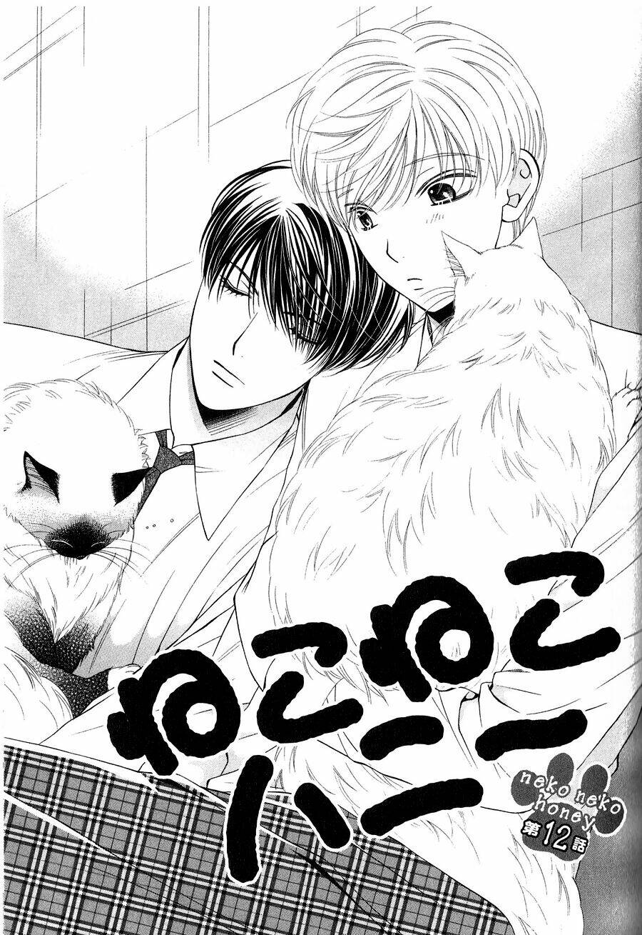 Neko Neko Honey Chapter 12 - Trang 2