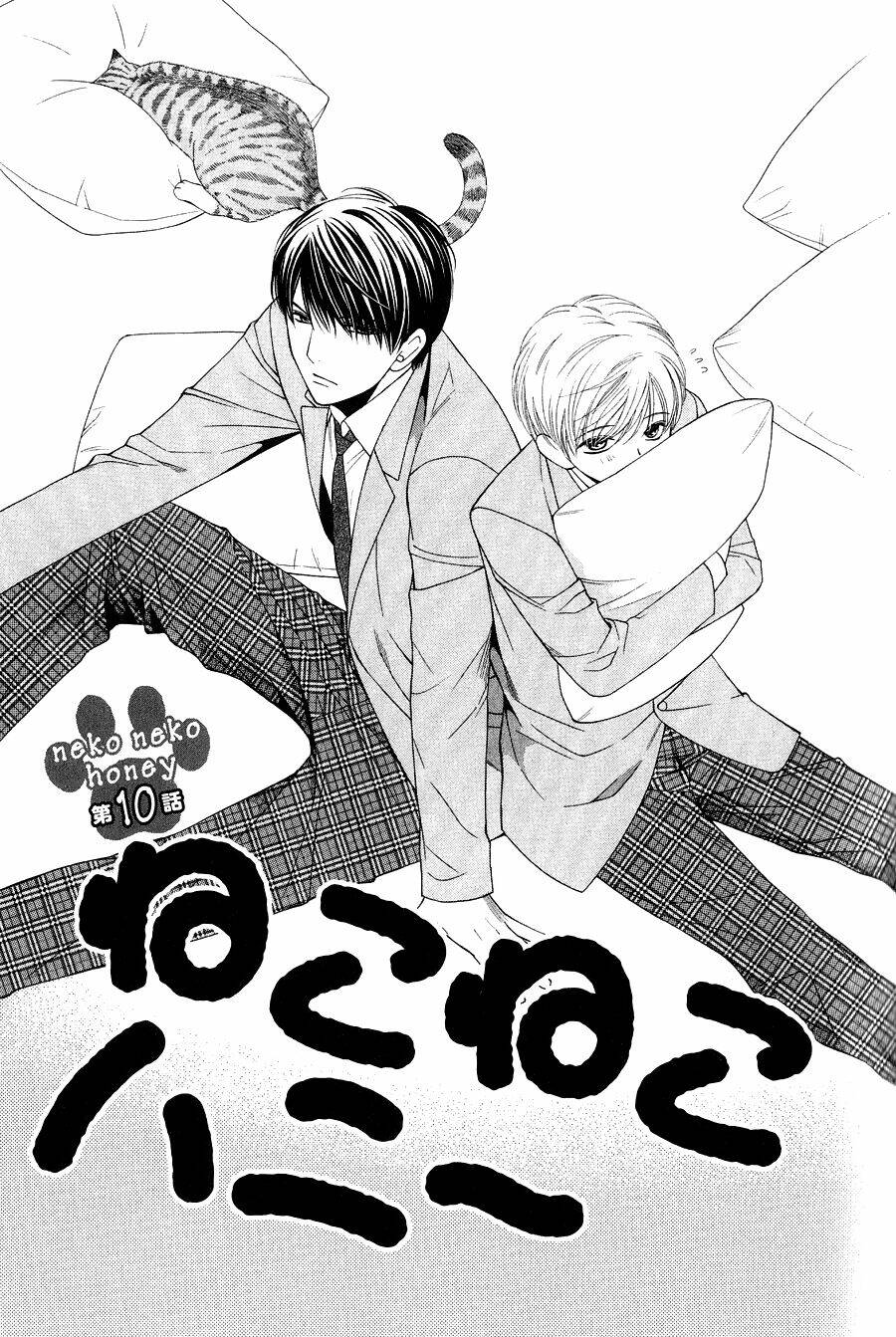 Neko Neko Honey Chapter 10 - Trang 2