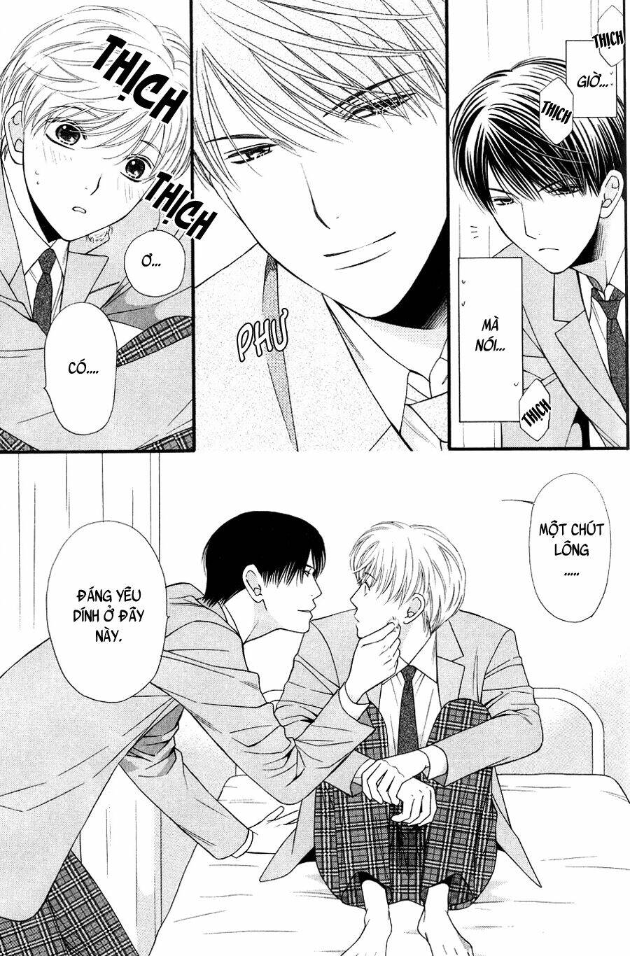 Neko Neko Honey Chapter 10 - Trang 2