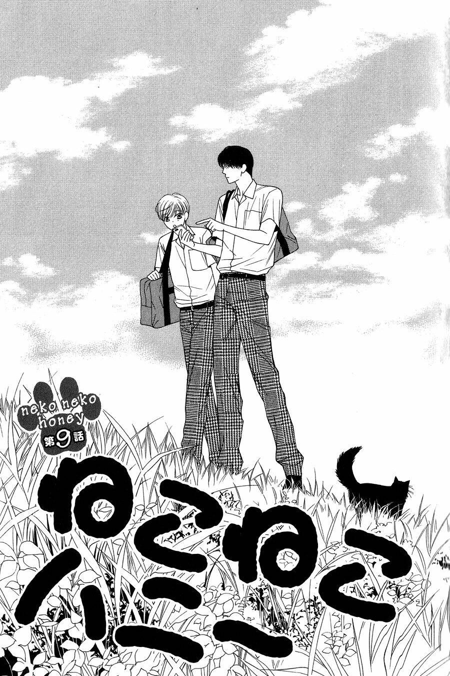 Neko Neko Honey Chapter 9 - Trang 2