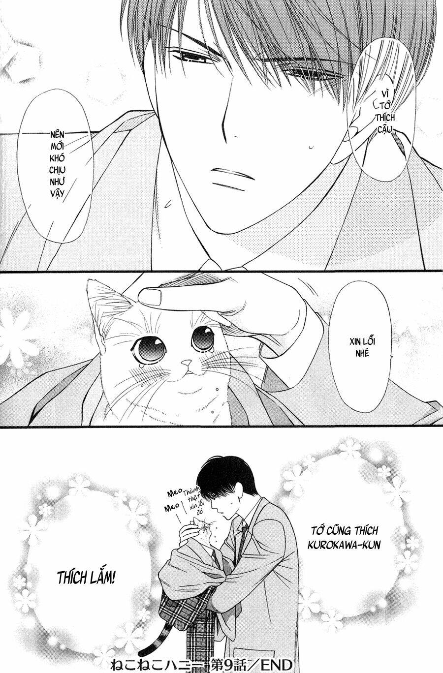 Neko Neko Honey Chapter 9 - Trang 2