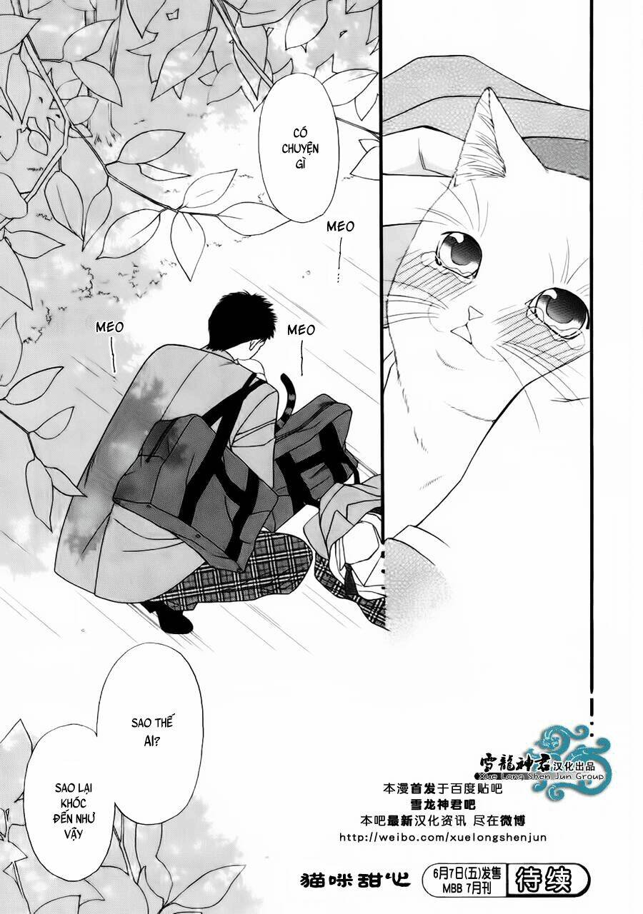 Neko Neko Honey Chapter 8 - Trang 2