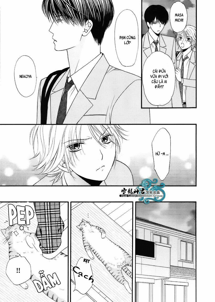 Neko Neko Honey Chapter 7 - Trang 2