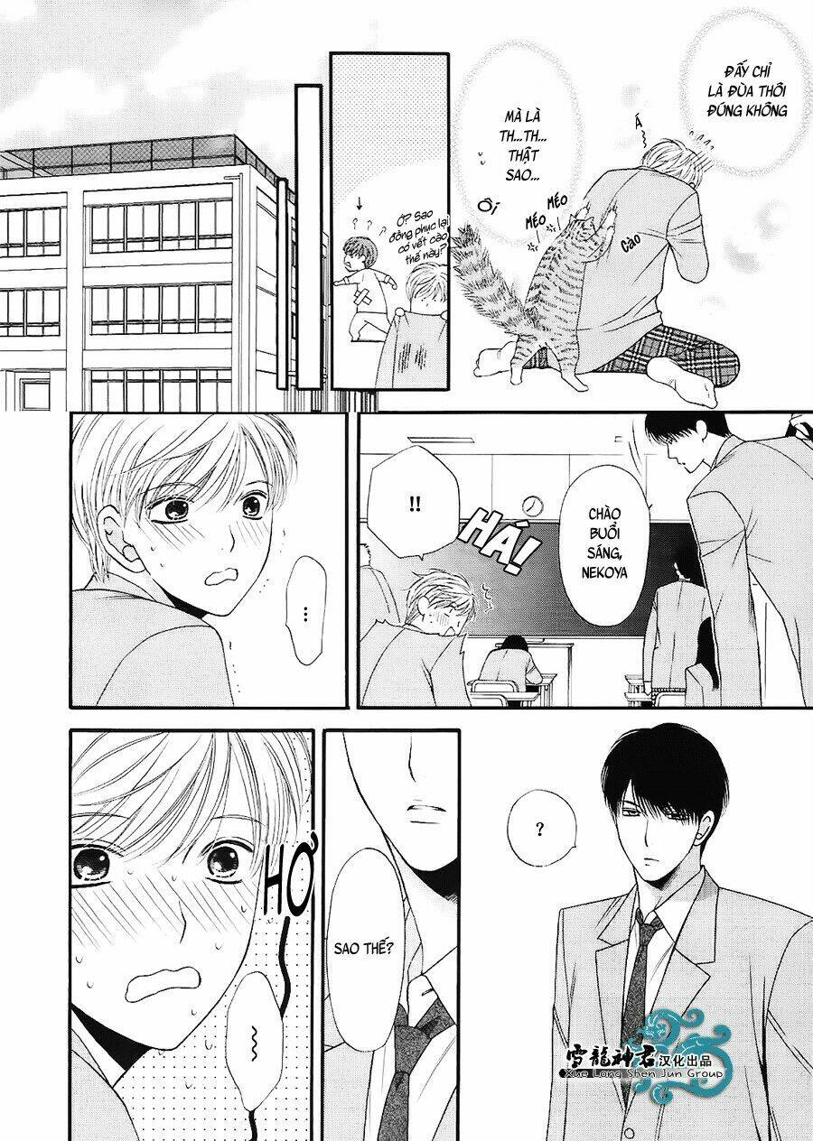 Neko Neko Honey Chapter 7 - Trang 2