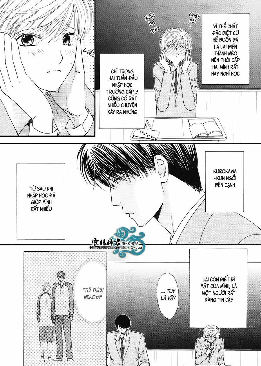 Neko Neko Honey Chapter 7 - Trang 2