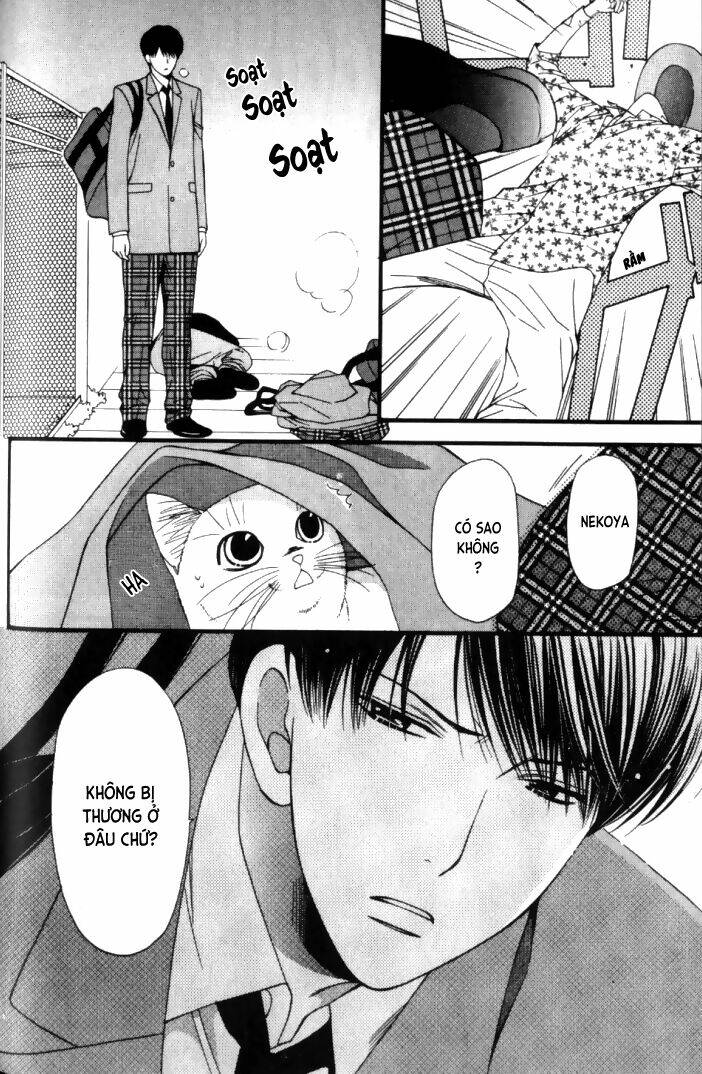 Neko Neko Honey Chapter 6 - Trang 2