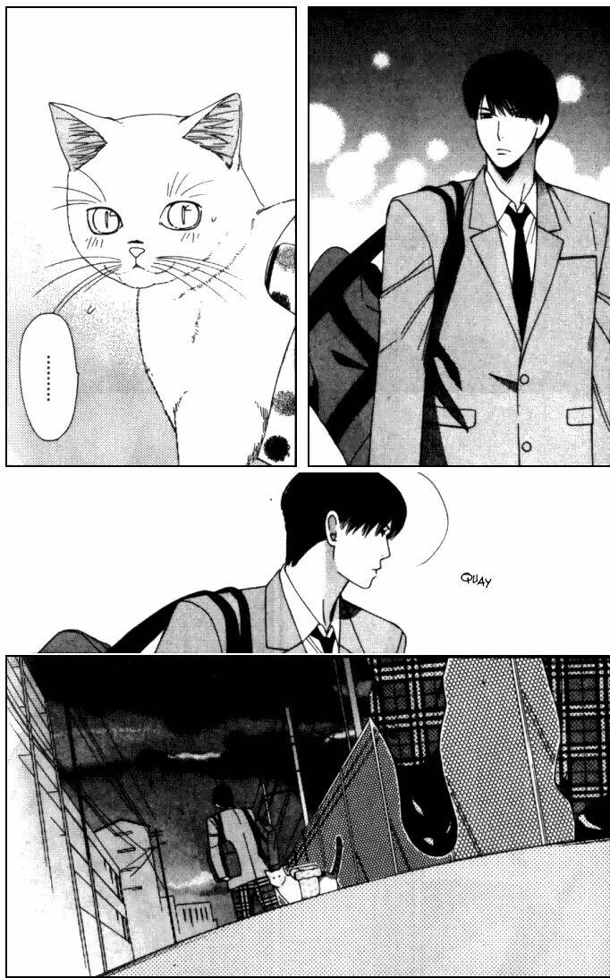 Neko Neko Honey Chapter 6 - Trang 2