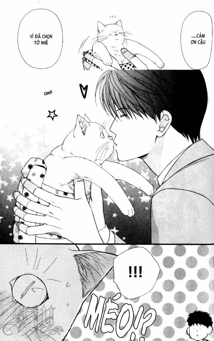 Neko Neko Honey Chapter 6 - Trang 2