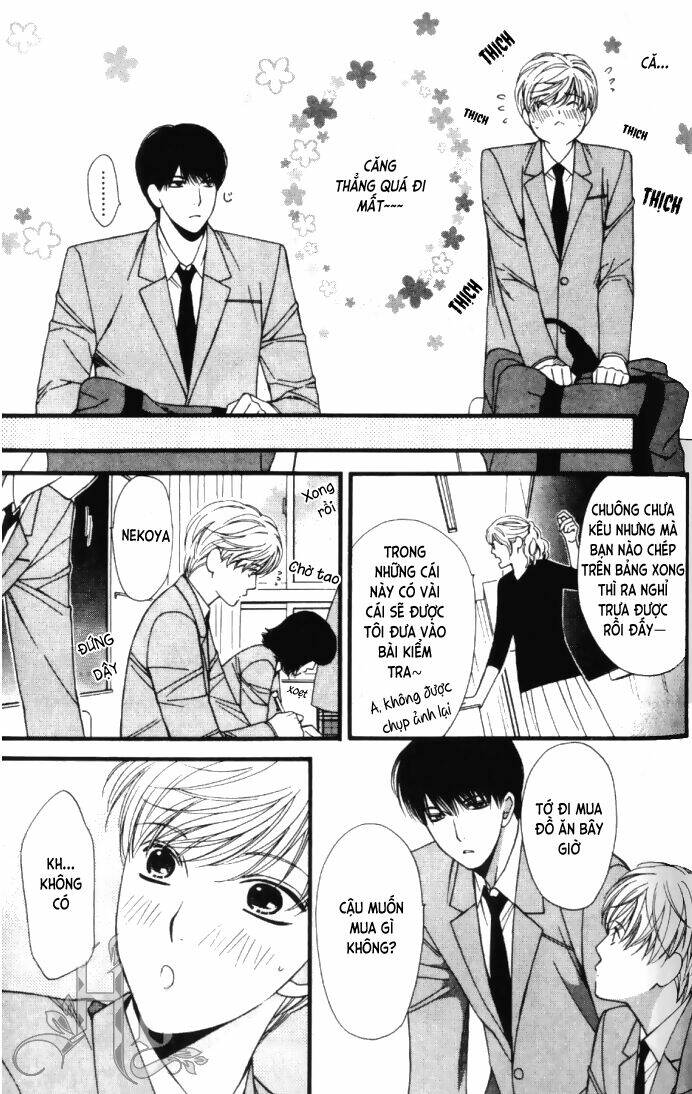 Neko Neko Honey Chapter 6 - Trang 2