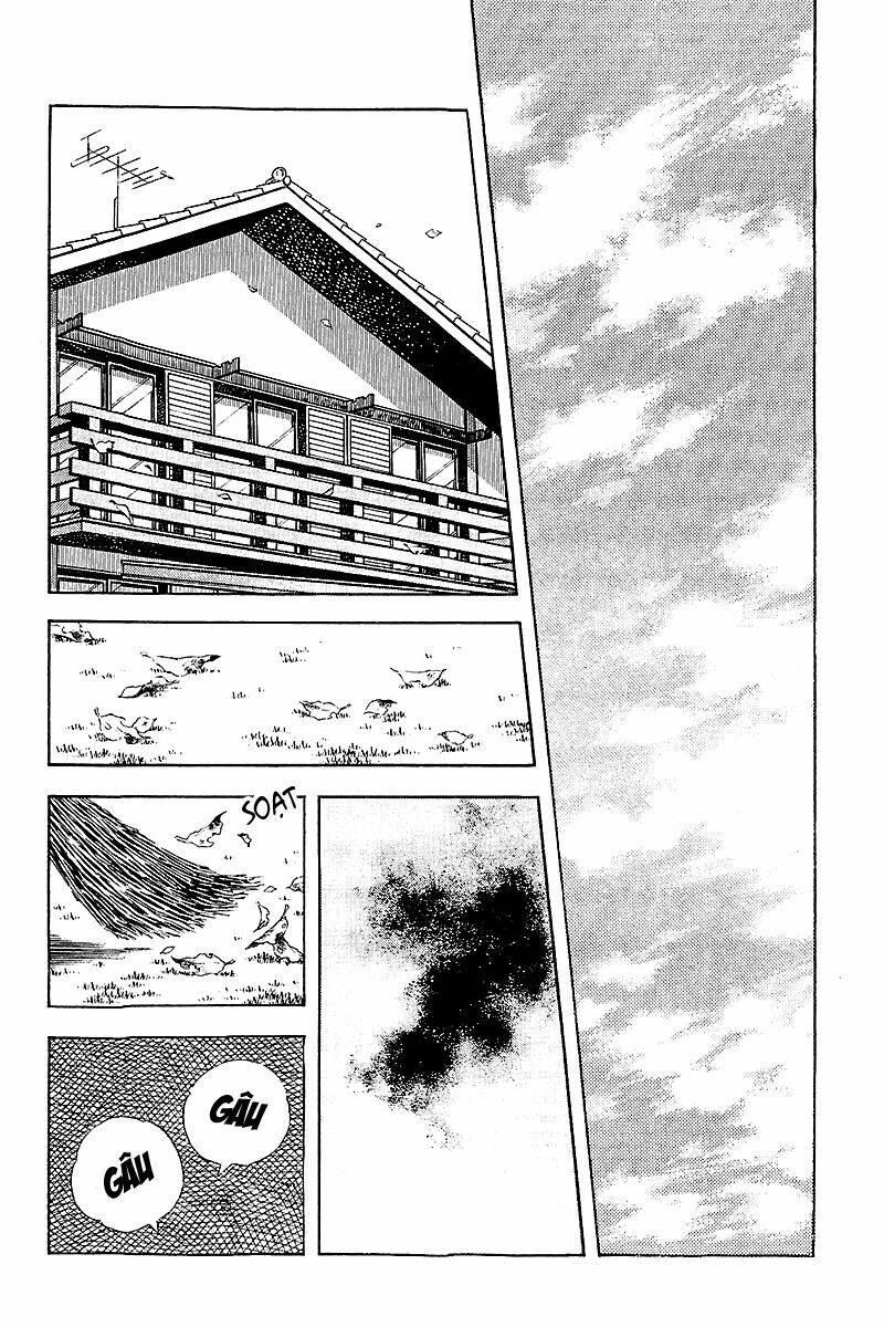 Touch Chapter 257 - Trang 2