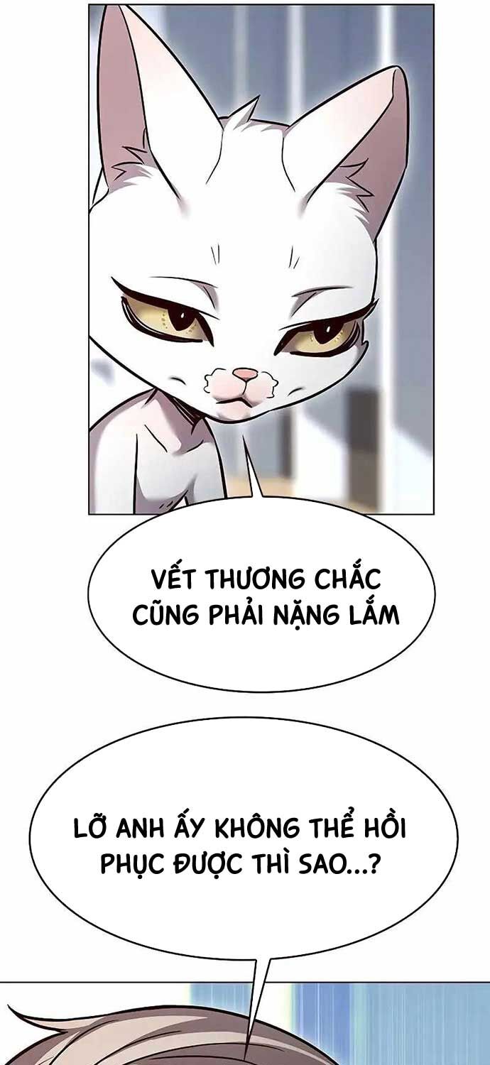 Hoá Thân Thành Mèo Chapter 323 - Trang 2