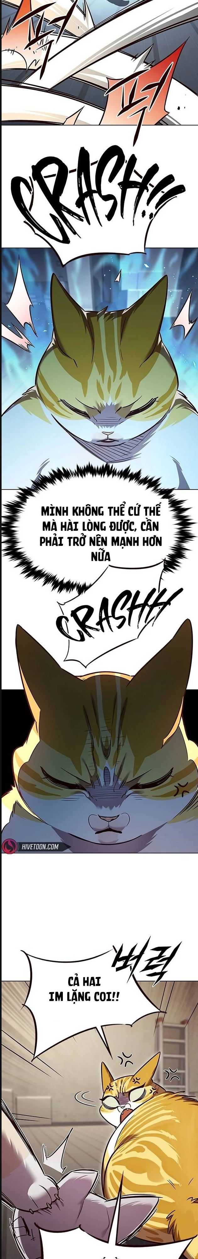 Hoá Thân Thành Mèo Chapter 322 - Trang 2