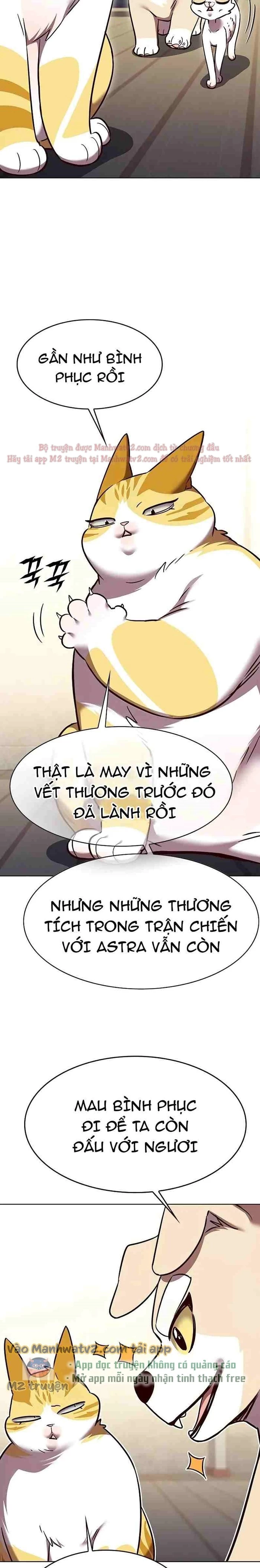 Hoá Thân Thành Mèo Chapter 309 - Trang 2