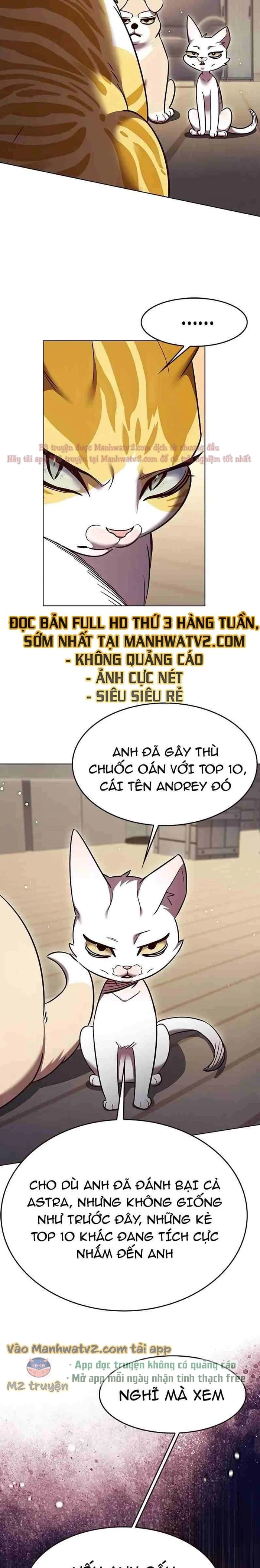 Hoá Thân Thành Mèo Chapter 309 - Trang 2