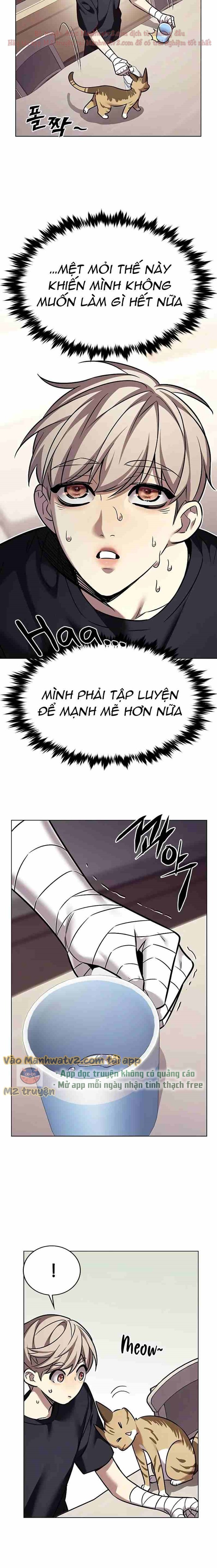 Hoá Thân Thành Mèo Chapter 305 - Trang 2