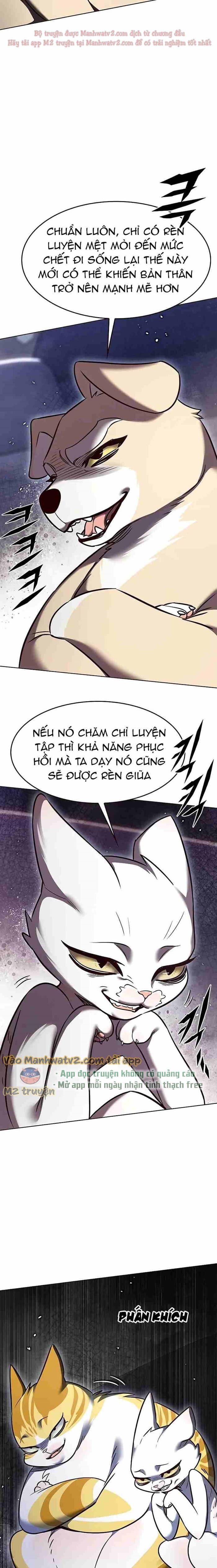 Hoá Thân Thành Mèo Chapter 305 - Trang 2