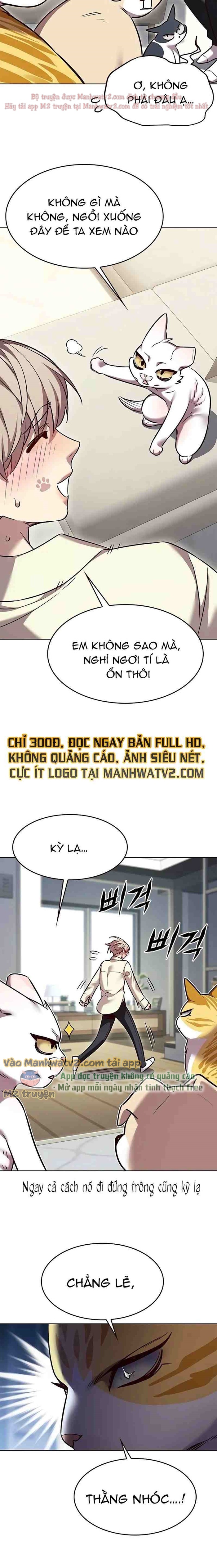 Hoá Thân Thành Mèo Chapter 304 - Trang 2