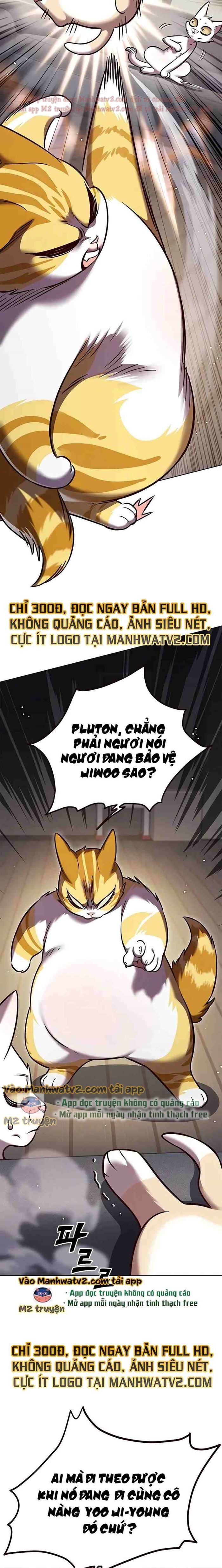 Hoá Thân Thành Mèo Chapter 304 - Trang 2