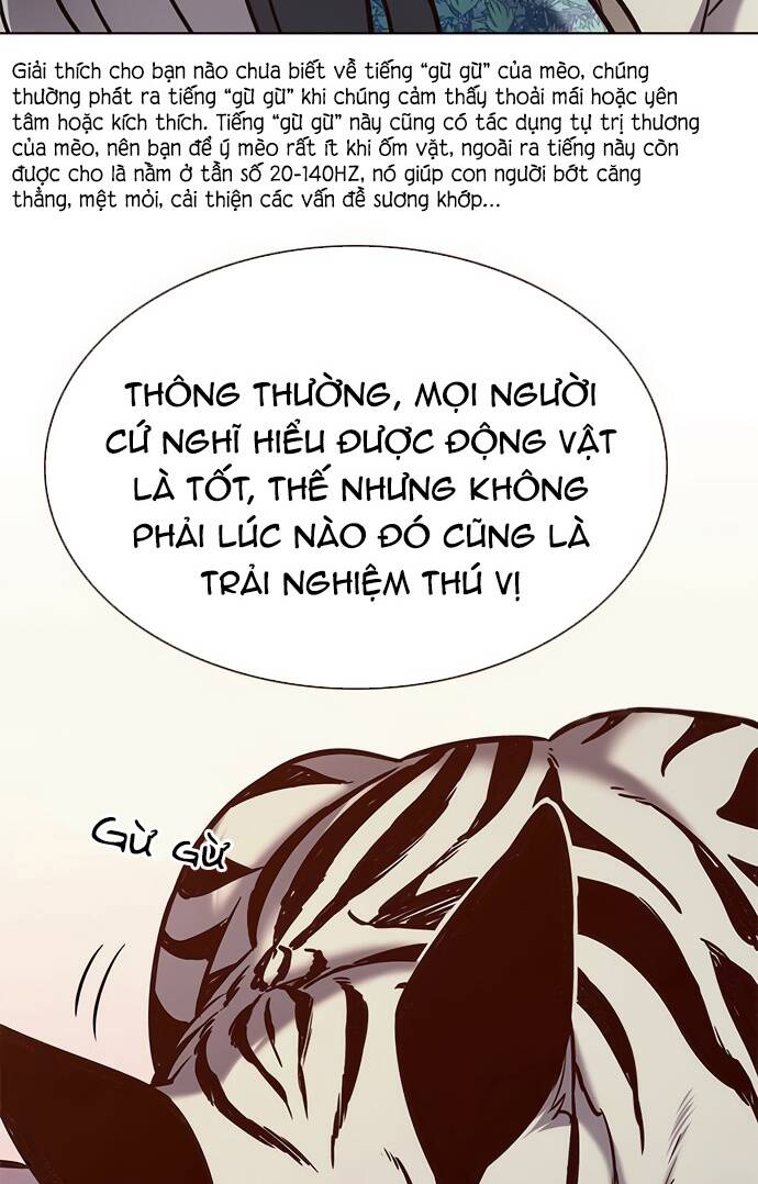 Hoá Thân Thành Mèo Chapter 188 - Trang 2