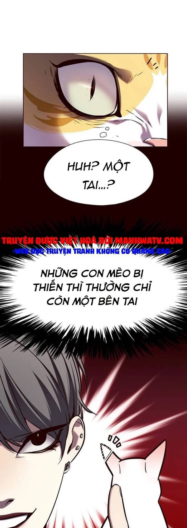 Hoá Thân Thành Mèo Chapter 141 - Trang 2