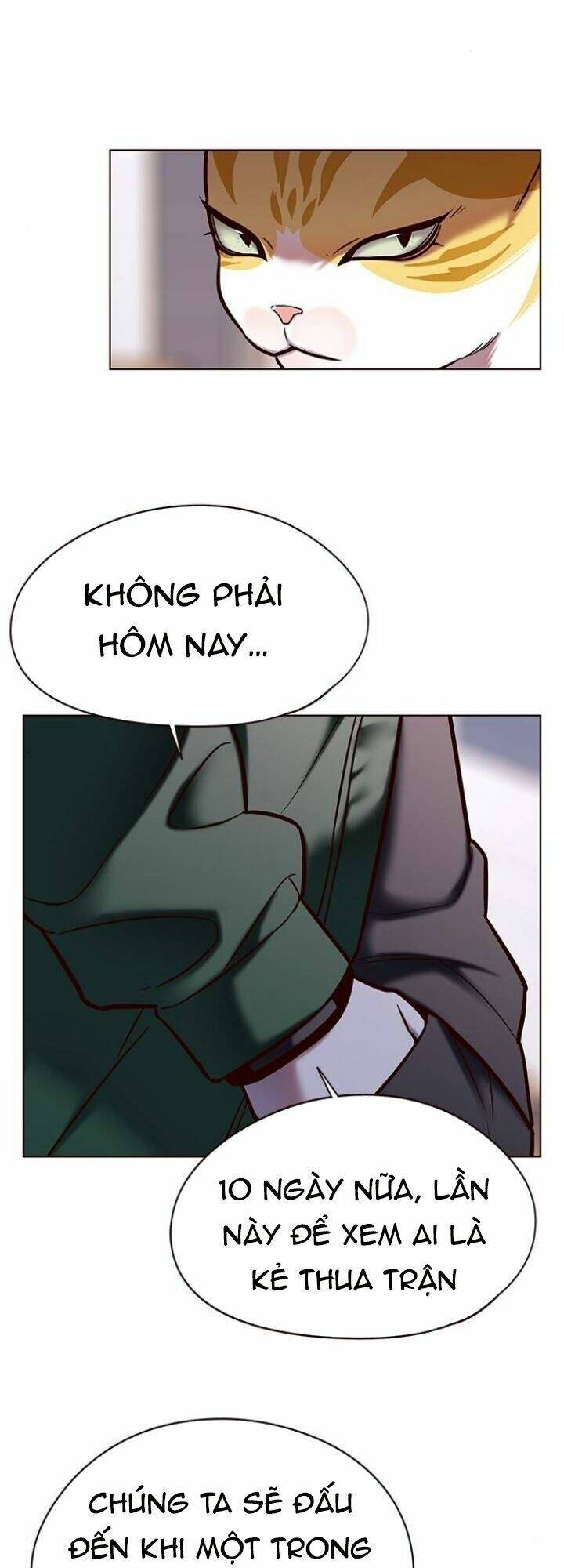 Hoá Thân Thành Mèo Chapter 117 - Trang 2