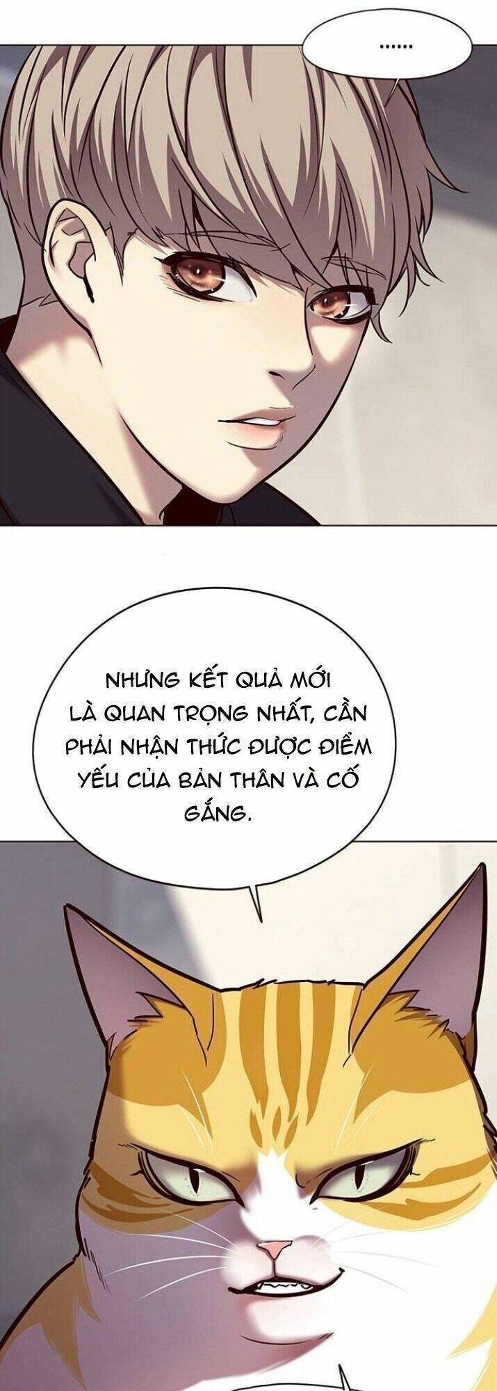 Hoá Thân Thành Mèo Chapter 116 - Trang 2