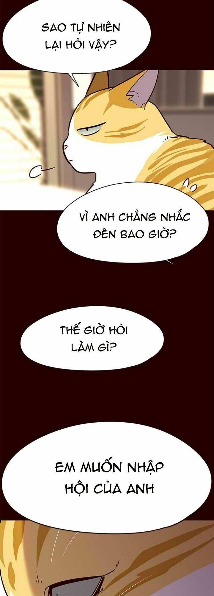 Hoá Thân Thành Mèo Chapter 96 - Trang 2