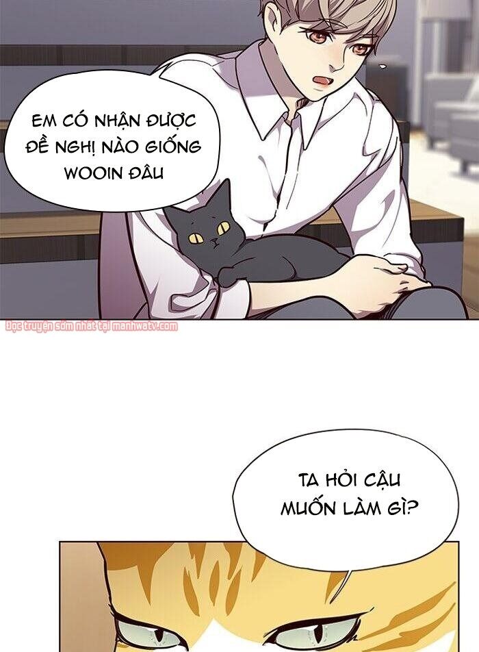 Hoá Thân Thành Mèo Chapter 51 - Trang 2