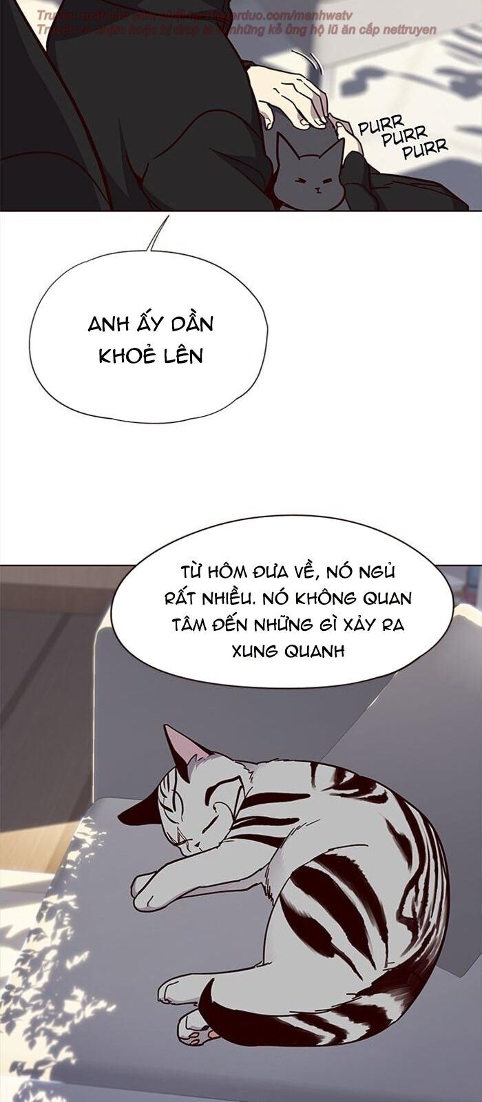 Hoá Thân Thành Mèo Chapter 34 - Trang 2