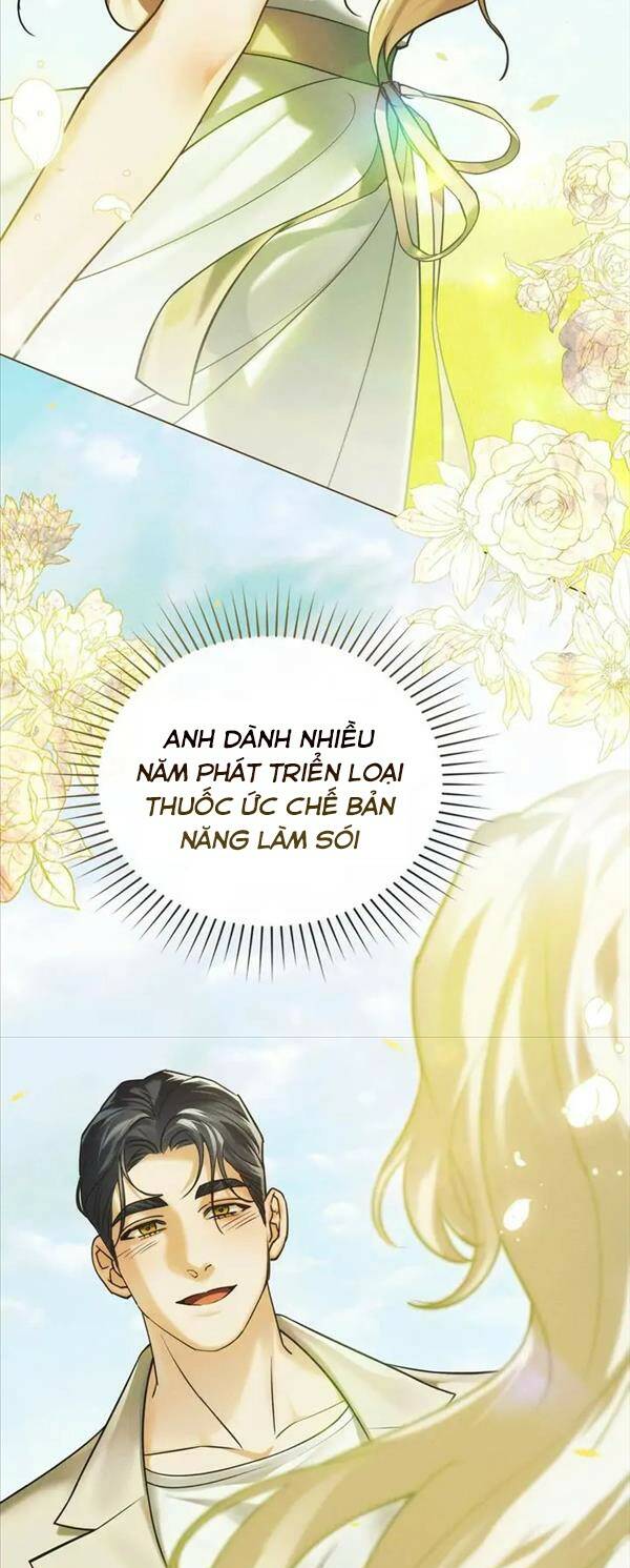 Chàng Người Sói Phát Điên Vì Tôi Chapter 17 - Trang 2