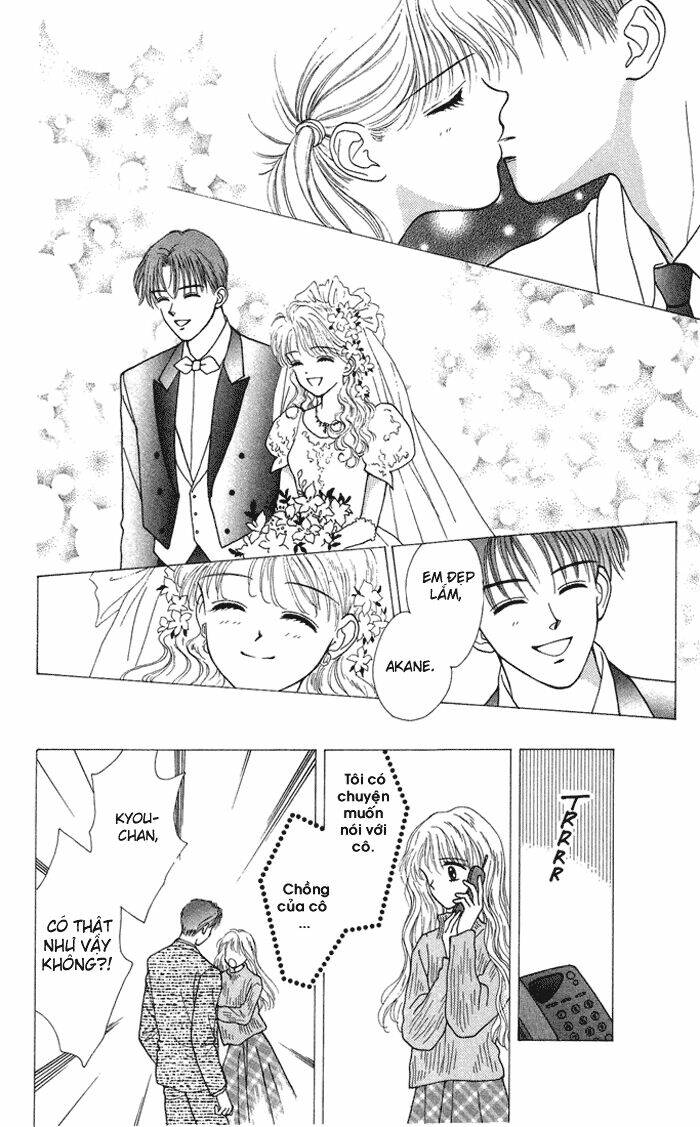 Kimi Shika Iranai Chapter 4 - Trang 2