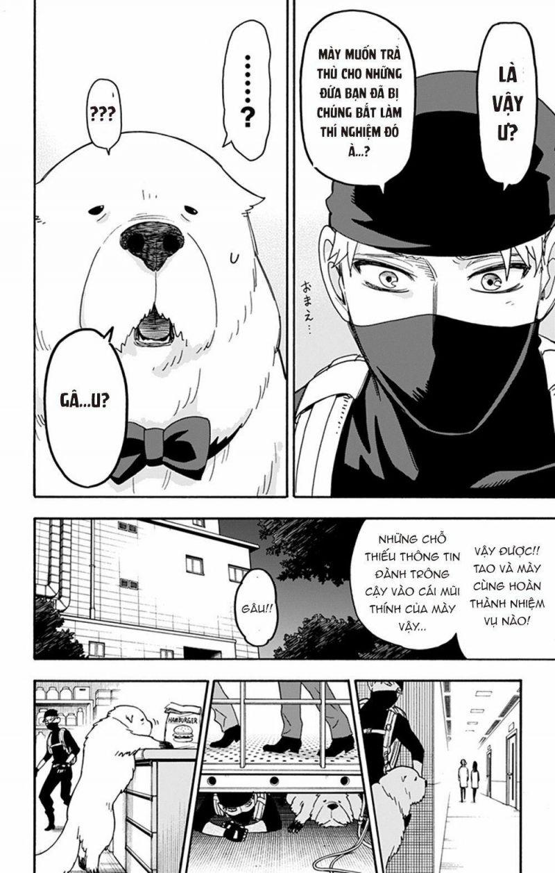 Spy X Family Chapter 40 - Trang 2