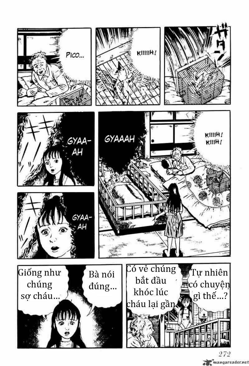 God’S Left Hand, Devil’S Right Hand Chapter 55 - Trang 2