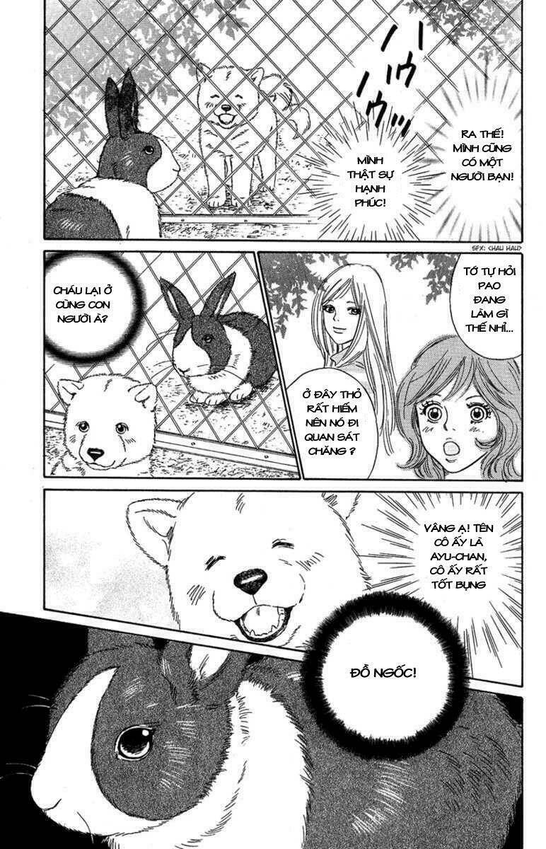 Deep Love – Pao No Monogatari Chapter 7 - Trang 2