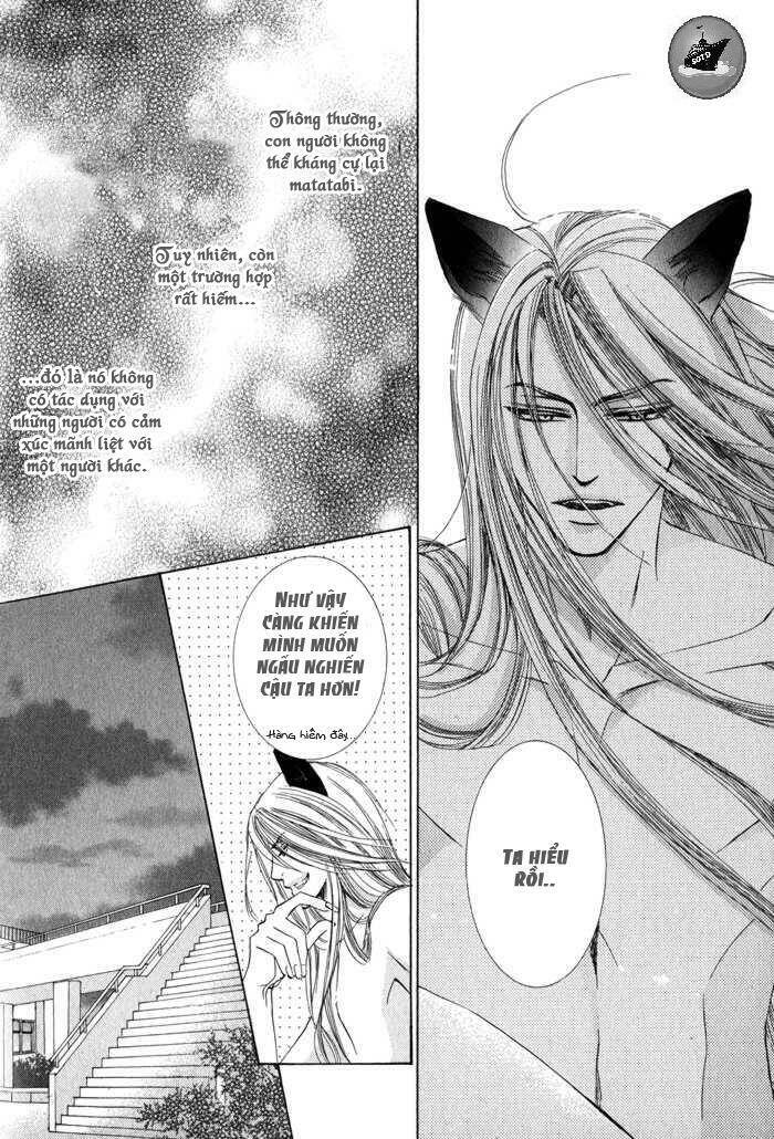 Neko Mata Chapter 6 - Trang 2