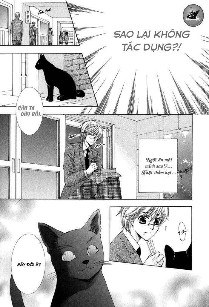 Neko Mata Chapter 6 - Trang 2